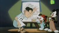 Animaniacs الضاحكون Em2er4lfabjl_t