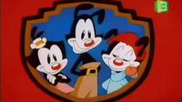 Animaniacs الضاحكون Ha268esurcli_t