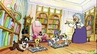 Baby Looney Tunes Xjvl0xphyewo_t