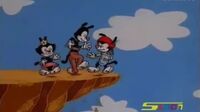 Animaniacs الضاحكون Zqx0zgjz8cvv_t